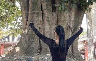微密圈 - 花纹还是有点小野性，感觉无圣光的作品才能透露出这种个性，120斤的小王同学果然独特。